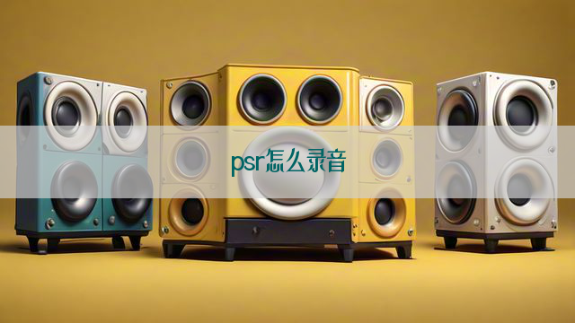 psr怎么录音