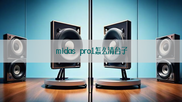 midas pro1怎么清台子