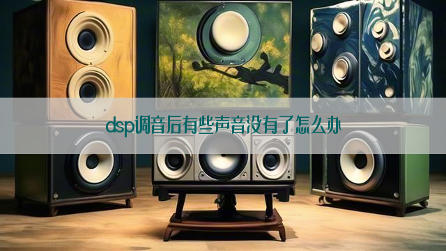 dsp调音后有些声音没有了怎么办