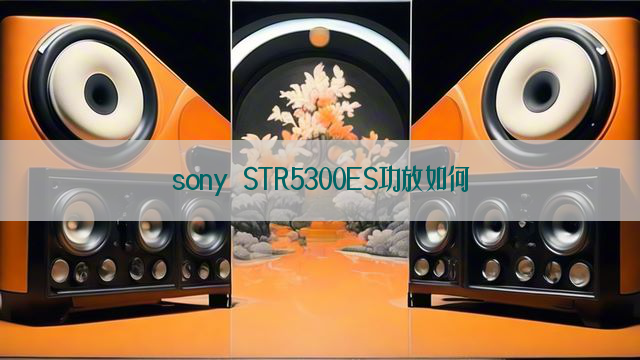 sony STR5300ES功放如何