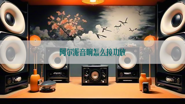 阿尔派音响怎么接功放