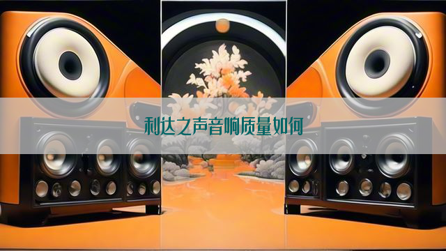 利达之声音响质量如何