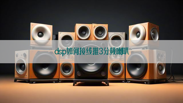 dsp如何接线推3分频喇叭