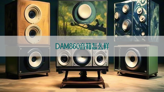 DAM860音箱怎么样