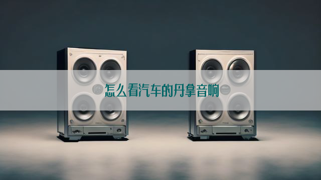 怎么看汽车的丹拿音响