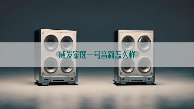 威发家庭一号音箱怎么样