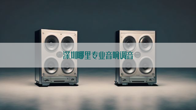 深圳哪里专业音响调音