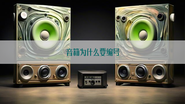 音箱为什么要编号