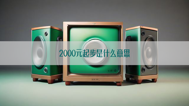 2000元起步是什么意思