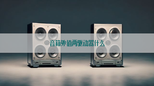 音箱外值两驱动器什么