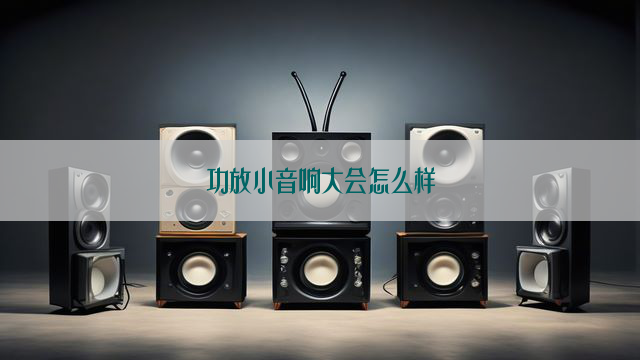 功放小音响大会怎么样