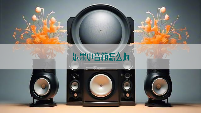 乐果小音箱怎么拆