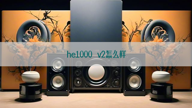 he1000 v2怎么样