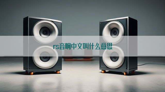 rs音响中文叫什么意思