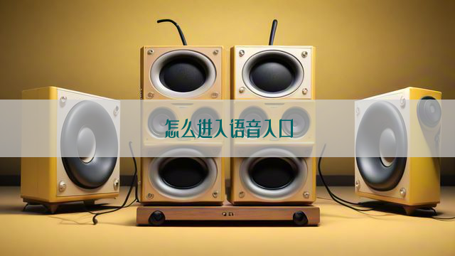 怎么进入语音入口