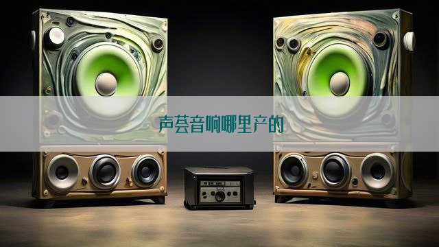 声荟音响哪里产的