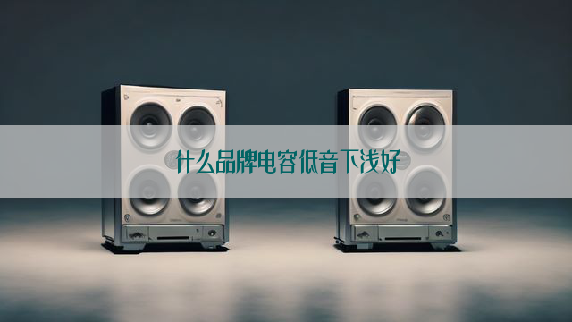 什么品牌电容低音下浅好