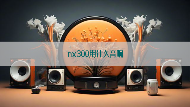 nx300用什么音响