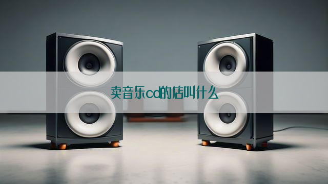 卖音乐cd的店叫什么