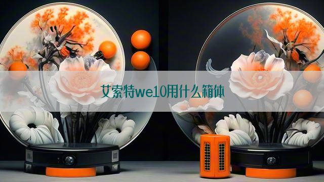 艾索特we10用什么箱体