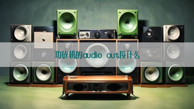 功放机的audio out接什么