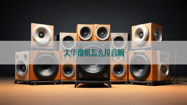 大华像机怎么接音响