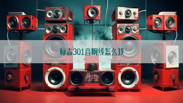 标志301音响线怎么找