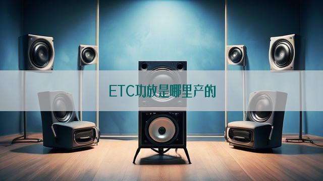 ETC功放是哪里产的