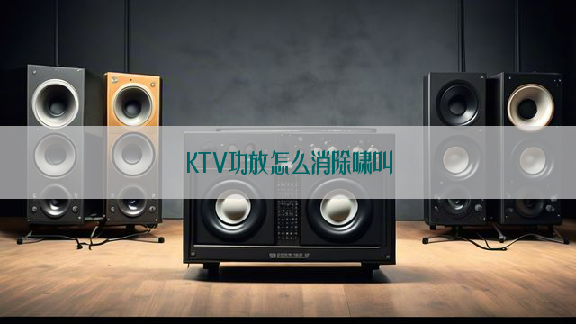 KTV功放怎么消除啸叫