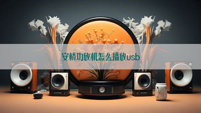 安桥功放机怎么播放usb