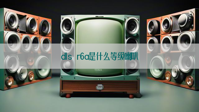 dls r6a是什么等级喇叭