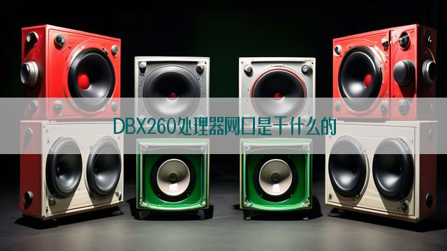 DBX260处理器网口是干什么的