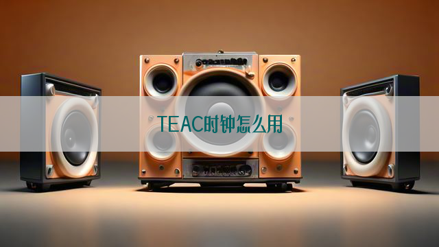 TEAC时钟怎么用