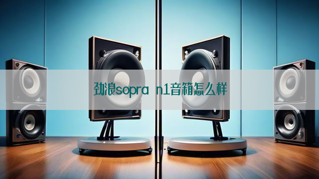 劲浪sopra n1音箱怎么样