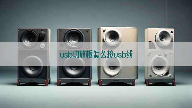 usb功放板怎么接usb线