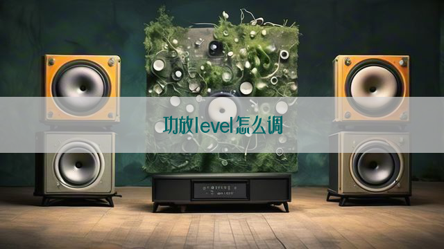 功放level怎么调