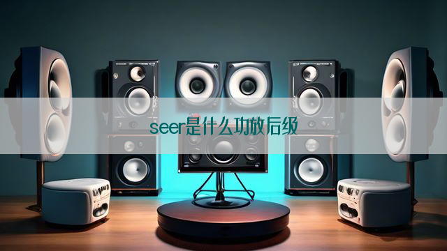 seer是什么功放后级