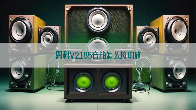 恩科V2185音箱怎么接功放