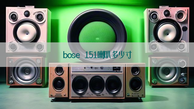 bose 151喇叭多少寸