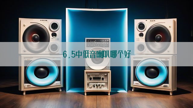 6.5中低音喇叭哪个好