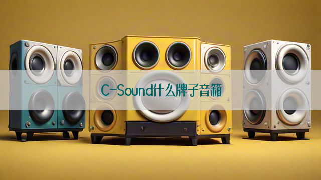 C-Sound什么牌子音箱