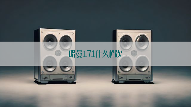 哈曼171什么档次