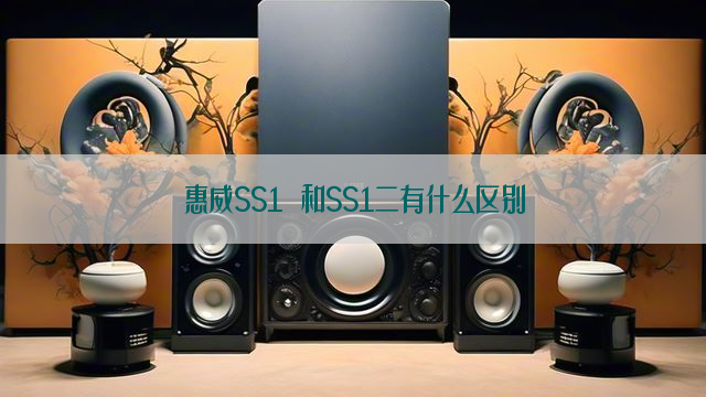 惠威SS1 和SS1二有什么区别