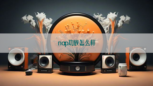 nap功放怎么样