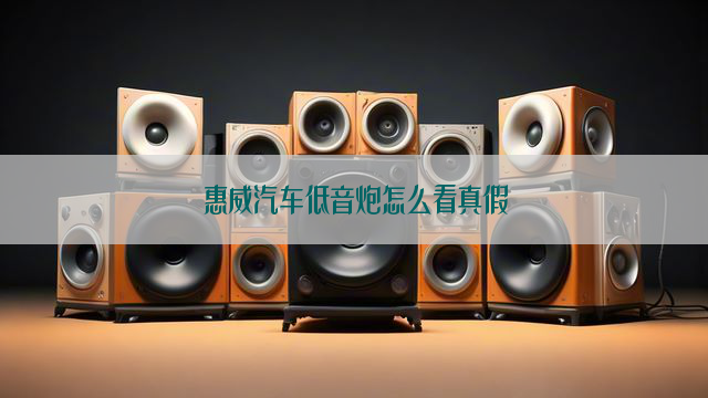 惠威汽车低音炮怎么看真假