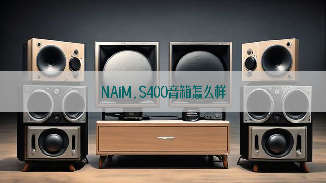 NAiM.S400音箱怎么样