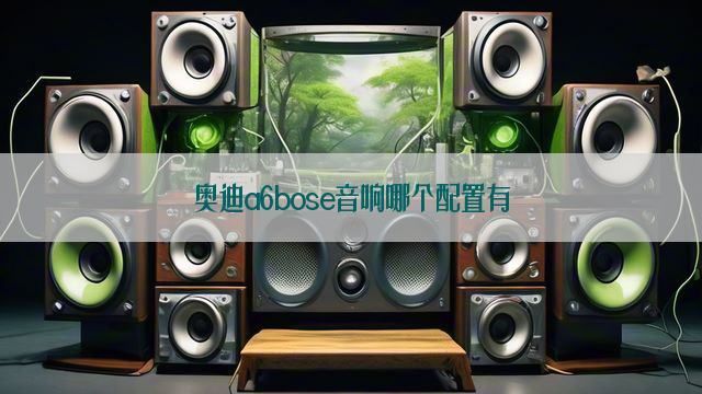 奥迪a6bose音响哪个配置有