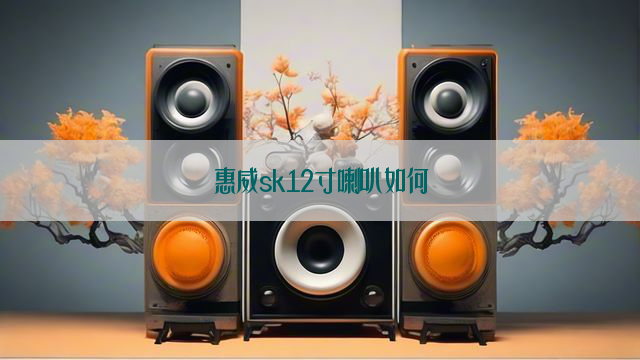 惠威sk12寸喇叭如何