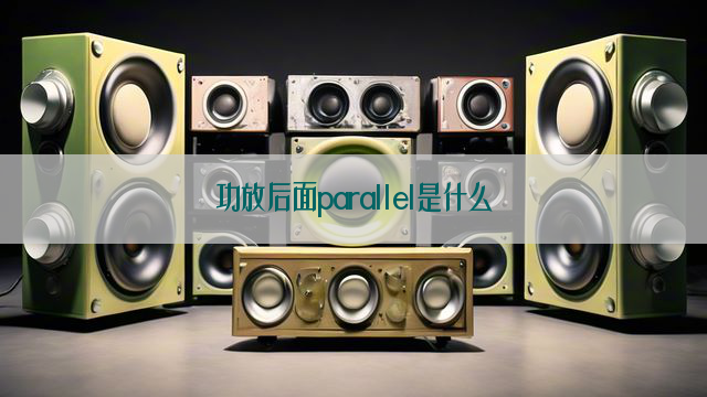 功放后面parallel是什么