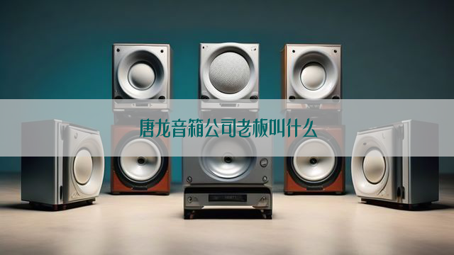 唐龙音箱公司老板叫什么